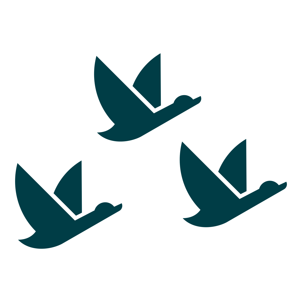 Image of three flying ducks