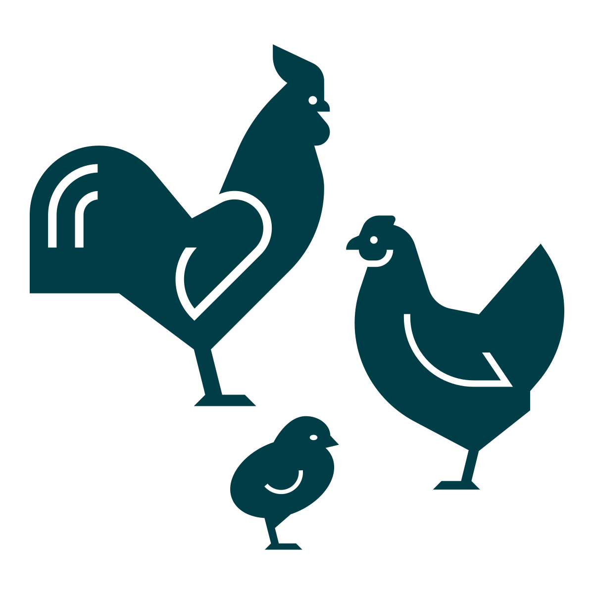 image de coq, poule et poussin