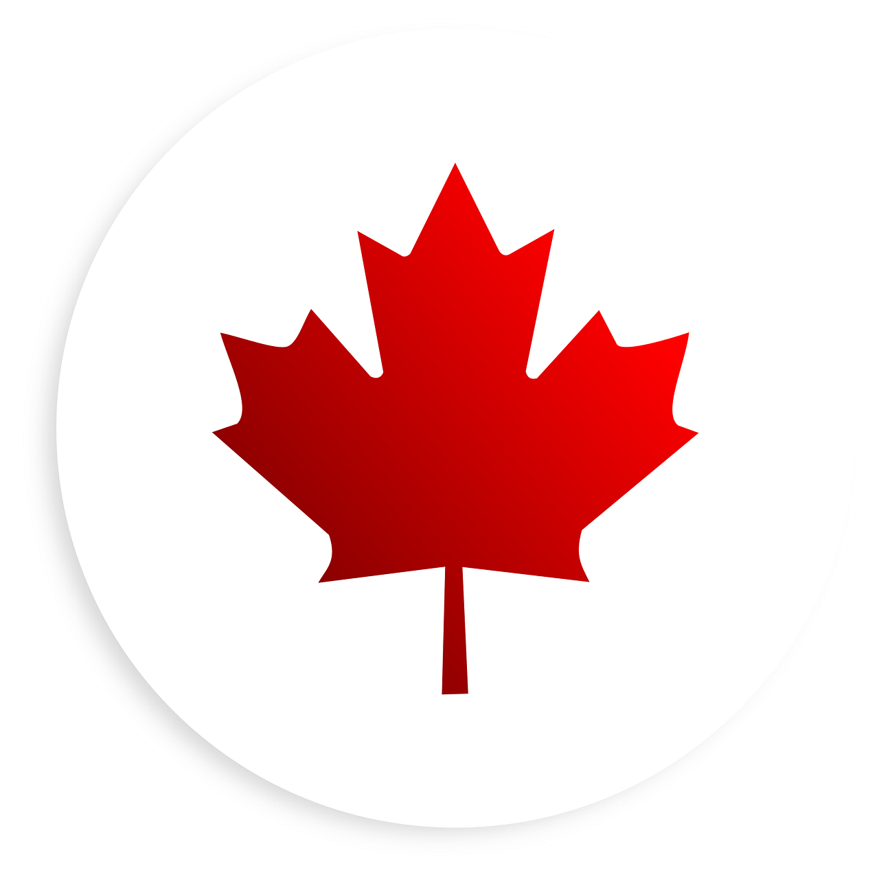 Image of a red maple leaf icon on a white background.